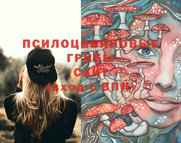 прущие крисы Абдулино