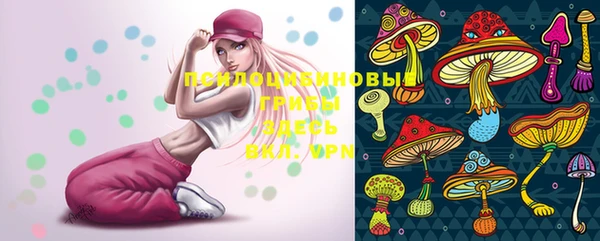 ПСИЛОЦИБИНОВЫЕ ГРИБЫ Абинск