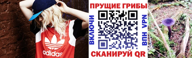 Галлюциногенные грибы Magic Shrooms  купить  сайты  Новая Усмань 